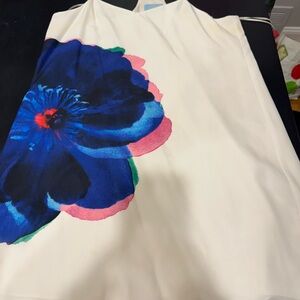 Cynthia Steffe CeCe Cream/White Dress